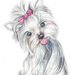 Meet your Posher, Robin